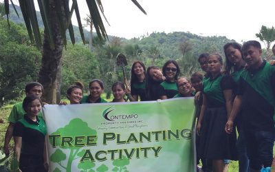 Tree Planting Activity